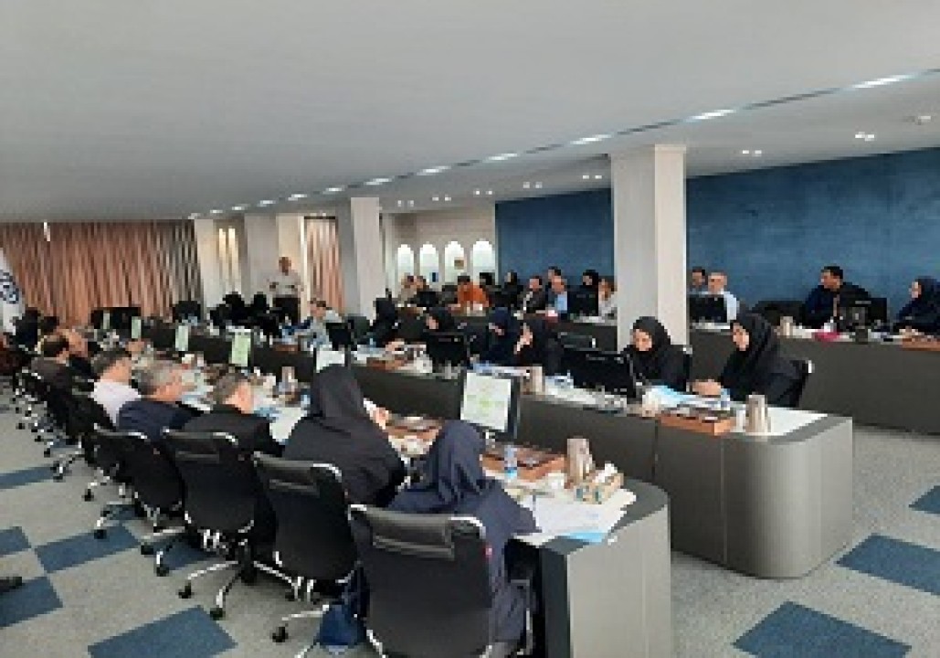 کارگروه های منطقه ای فرصتی برای تدوین برنامه جامع سازمان است